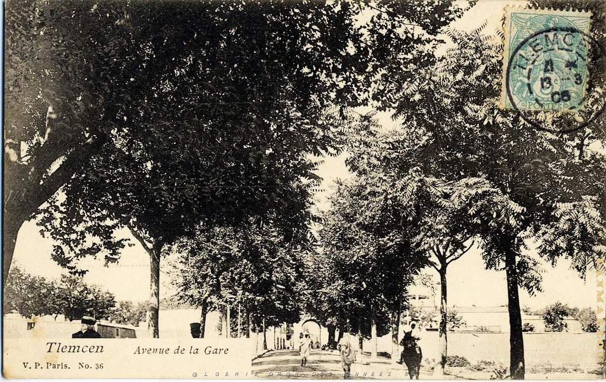 Tlemcen 160- Collection Montaner.JPG